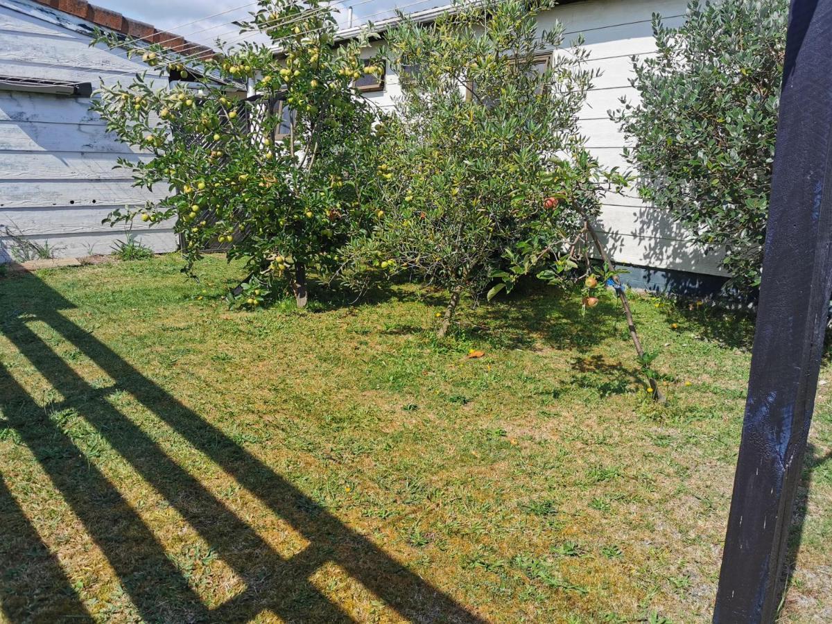 Gibson Court Motel Distretto di Distretto di Rotorua Esterno foto